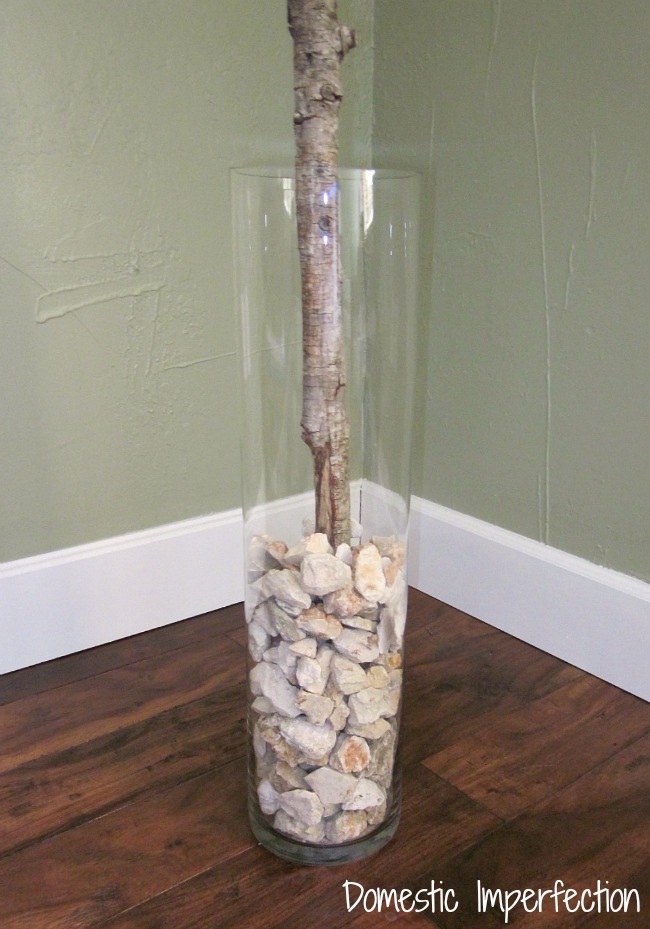 rocks in vase