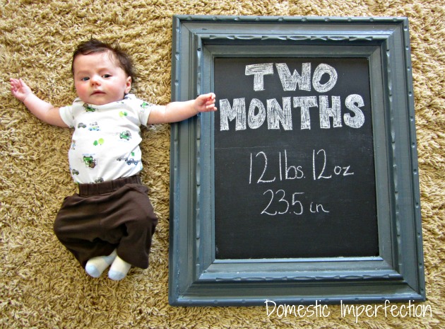 Two Month Levi