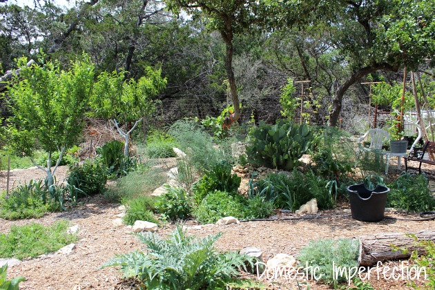 gardening with lots of mulch