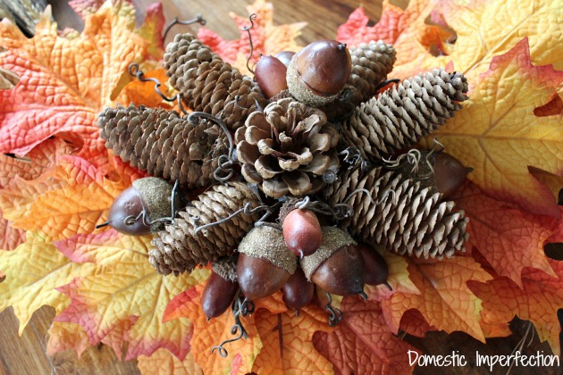 pinecones and acorns