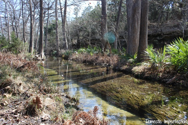 creek in winter 3