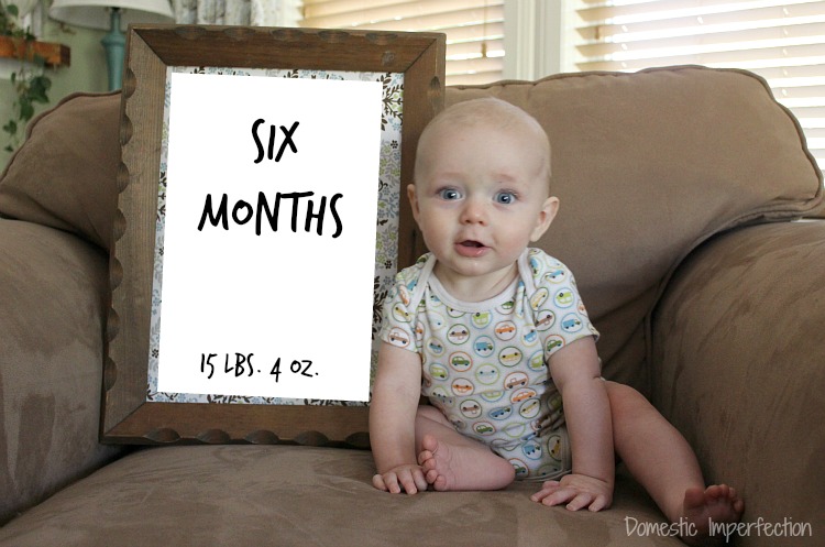 Judah - Six Months