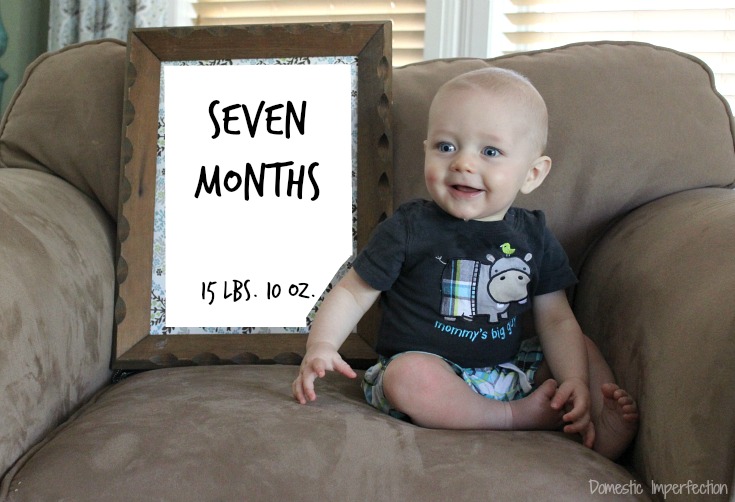 Judah - seven months