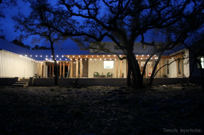 well-lit backyard