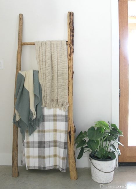 Overstock discount blanket ladder