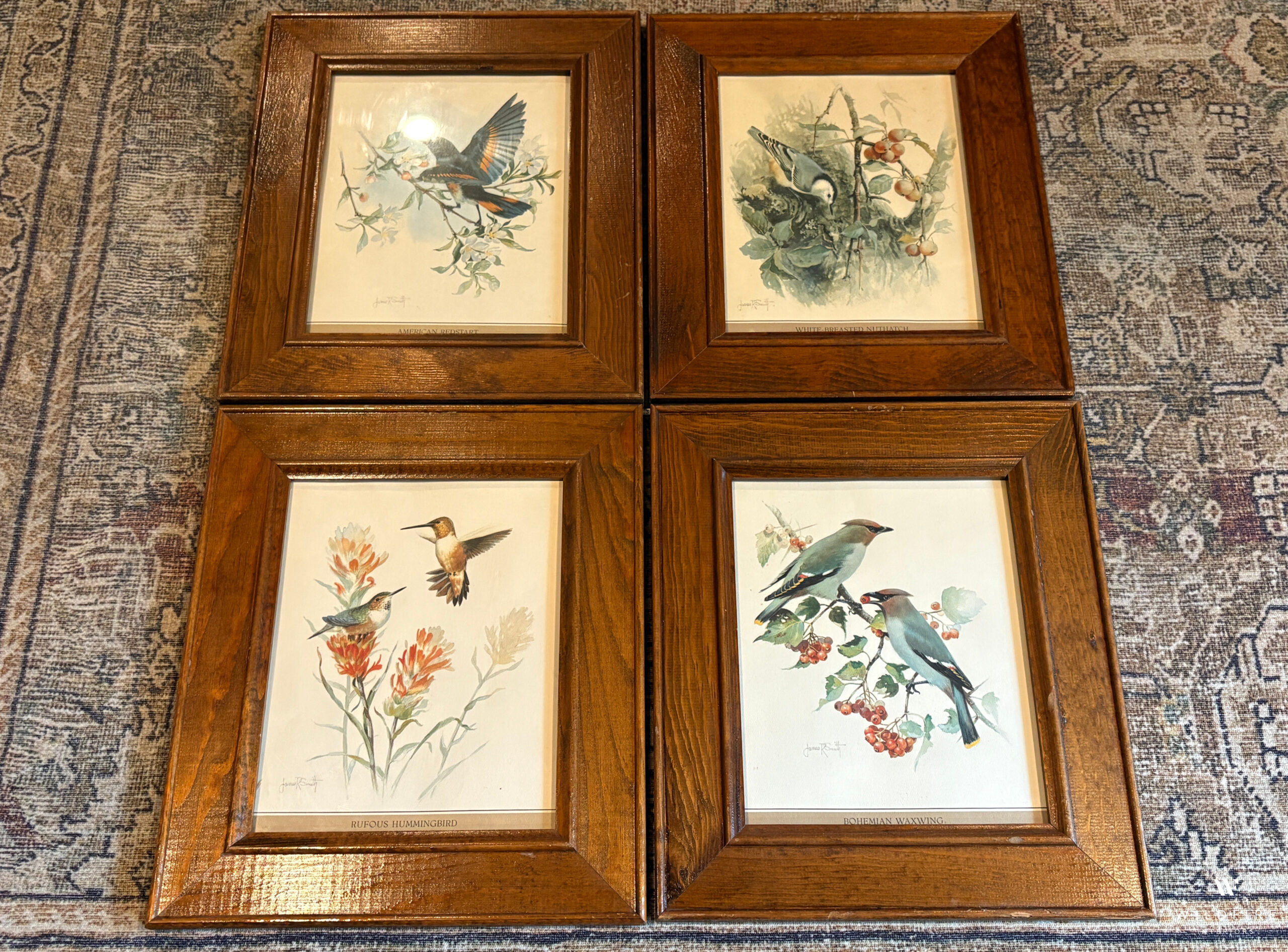vintage bird prints
